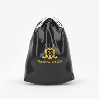 Shoe Bag